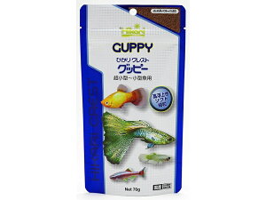 ypiEaz L[ ЂNXgObs[ 70gyaz (Wp)(a)