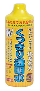 ypizy܁zł@΂̗́@480ml@蓧