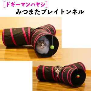 y 2510%OFF̓ zL  gl LbgnEX Lxbh ߋ ybgV ݂܂vCgl