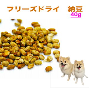 y1111%OFF̓zy1000~|bLz   hbOt[h L  Y N t[YhC [ 40g