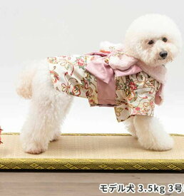 LIFE LIKE　華やか晴れ着　ライフライク　犬　正月　着物　晴れ着　犬服　映え　写真　冬　アウター　ペットファッション　ドッグウェア　かわいい　かっこいい　おしゃれ　セレブ　散歩　胴輪　小型犬　超小型犬