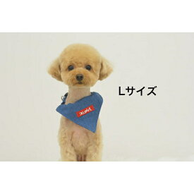 犬用首輪　ボックスロゴカラー【Lサイズ】X-girl　カジュアル　ブラック　カモフラ　ブルー　犬服　小型犬　超小型犬　エックスガール