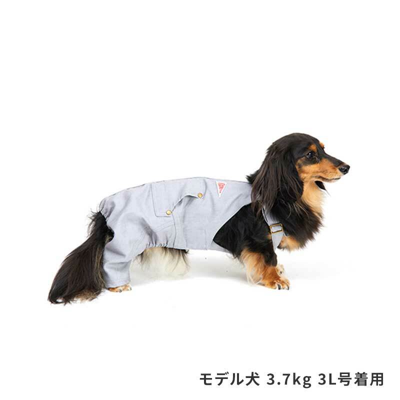 犬用の服セット lifelike