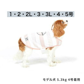 犬服　COOLINGボーダーポンチョ　1〜5号　ライフライク　LIFELIKE　犬用ポンチョ　おしゃれ　かわいい　小型犬　チワワ　犬の服　ドッグウェア　おでかけ　人気ブランド　春夏　おしゃれ　ドッググッズ　犬　簡単　マジックテープ　暑さ対策　ひんやり　夏バテ対策