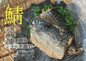 037Fresh Fish　真鯖　80g国産/千葉県銚子産/犬用/猫用/ペット用レトルト