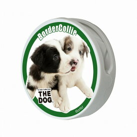 クリップマグネット THE DOG ボーダー・コリーCM-BorderCoLLie