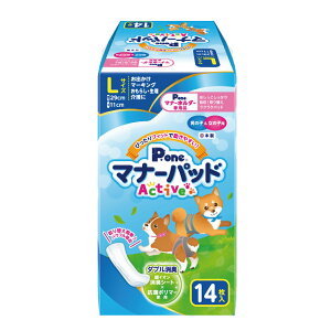  }i[pbh  ANeBu Active L 14 q }i[pbh j̎q̎qp