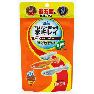 L[ qJ (hikari) _JvX 20g L[ _J̉a 㐫