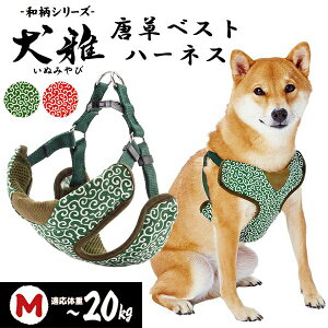  xXgn[lX M O[ yeBI ցEn[lX pip