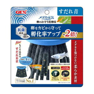 GEX _JC ̂Y  WFbNX lH Ϗ܋pip