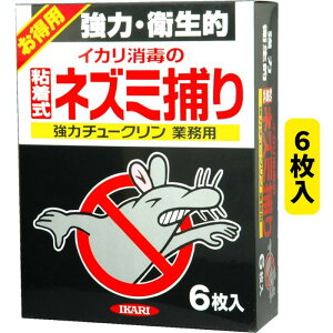 lY~ ߂ V[g ̓`[NƖp 6 CJ Y 