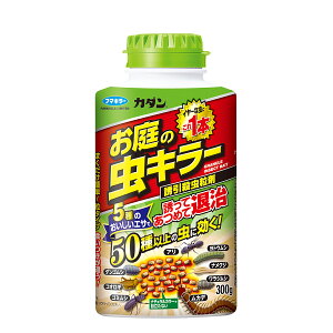 フマキラー カダン お庭の虫キラー誘引殺虫粒剤 300g 5種類の食材をブレンドしたエサで強力誘引 適用害虫:アリ、ヒアリ、アルゼンチンアリ、ダンゴムシ、ワラジムシ、ヤスデ、ゲジ、ナメ