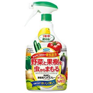 t}L[ J_ ؗpnhXv[ 1000ml ؂ɂQ𑬌ގ \h1J