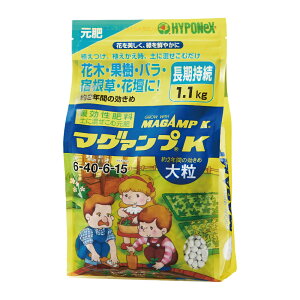 nC|lbNX }O@vK嗱 1.1kg yɍފɌ엿 nC|