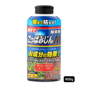   ς݂  M  900g C{[i Kpʐϖ7`54 3`6G̔} XMiɂ