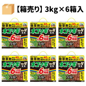 C{[i lR\MubNV 3kg × 6 lR\M  ˂   Kpʐϖ23`180×6 G}Ԗ6 C{[i ԏA󂫒nAƂ܂A^A