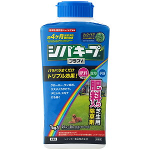 VoL[vvXv Ő 엿菜 VoL[vvXV 1kg VoL[v ŃL[v AŐ엿A\hʁi엿E\hʖ4j  Kpʐϖ7.5`15 C{[i IqVo