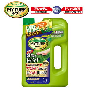 }C^[t Voj[hV[ DX 2L ZFw|  {ŗp Őp Ő Ő̏ G}ʍŒ3 {Ŗ3؁`12ؕ