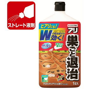 AAg[ V[ Ƒގ 1L ZFw| A E A쏜 a ގ