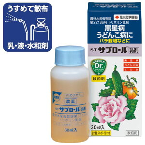 ZFw| Eۍ stTv[ 30ml a ǂ񂱕a o͔|Ȃǂ
