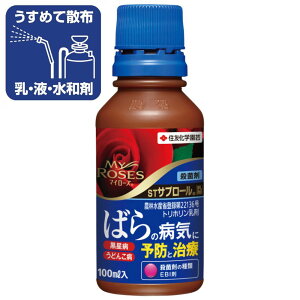 }C[Y o Eۍ stTv[ 100ml ZFw| aEǂ񂱕a o͔|Ȃǂ