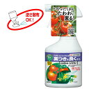 住友化学園芸 日産トマトトーンスプレー 420ml トマトの実つきを良くする