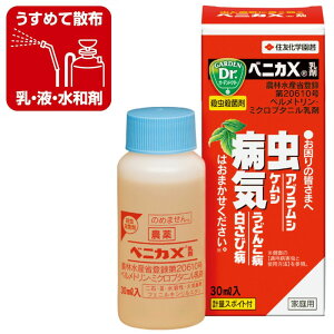 xjJX 30ml ZFw| EEۍ ̊F܂ EaC͂܂