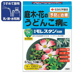 ZFw| X^a 0.5g×10 EEۍ  ؁EԂ̂ǂ񂱕a̗\hƎ