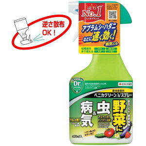 xjJO[VXv[ 420ml ZFw| EEۍ