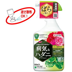 GF XgbvWrXv[ 900ml ZFw| EEۍ ԁEϗtÃAuVEn_jގ