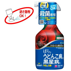 }C[Y EۃXv[ 950ml ZFw| o Eۍ ΂̂ǂ񂱕aƍaɗ\hƎ