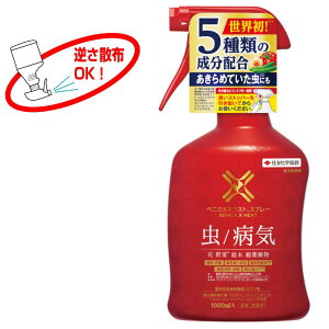 xjJXlNXgXv[ 1000ml ZFw| EEۍ EI 5ނ̐zEEۃXv[܁I