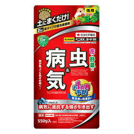 ベニカxガード粒剤 550g 住友化学園芸 ベニカ 殺虫殺菌剤 家庭園芸初！ 粒タイプの殺虫殺菌粒剤！ 病気に抵抗する強さを引き出し植物を丈夫にする