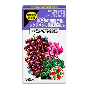 st Wx5 ZFw| 5 :Fی^̐n(1180mg) Ԃǂ (fEFAȂ)̖qAԂ̐瑣i