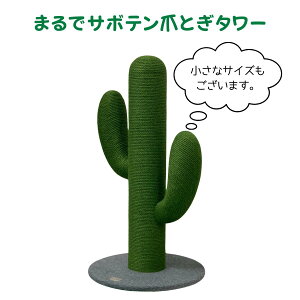 L ܂Ƃ T{e ܂ŃT{e ܂Ƃ^[ ybgAC ܂Ƃ|[  ܂Ƃ ܌ ܂ƂX^h T{e Lbg^[