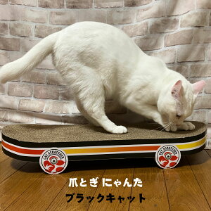 ߂Ƃ L _{[ ܂Ƃɂ XP[g{[h ubNLbg ܂ѕt ybgAC ܂ƂXP[g{[h L ܂Ƃ j[N