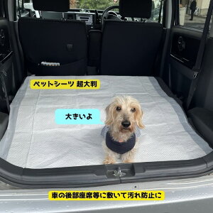 ybgAC ^ ^ ybgV[c 唻 ybgV[c 64 (16×4) ybgV[c̃TCY90×120cm  ybgV[g傫TCY  ^ybgV[c  ԓ̉h