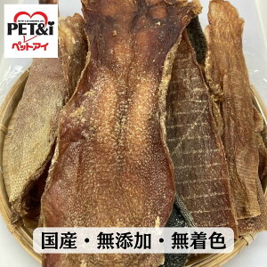   Y Y ^  W[L[ 120g ybgAC 䋍UF Y hbOt[h  W[L[ y`bN܁z