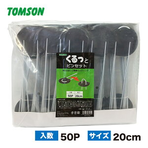 hV[g s hV[g  s Us U^ ƃs 20cm 50{g\