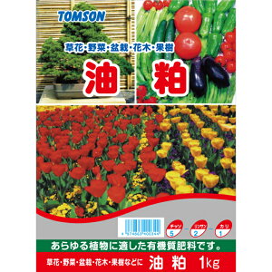 ������ �엿 �����^�C�v 1kg �g���\�� �엿 ���� �L�@���엿 ���f5 ���_2 �J��1