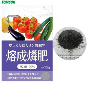 悤 엿 oӔ 悤  700gg\ _20% (P20) _엿