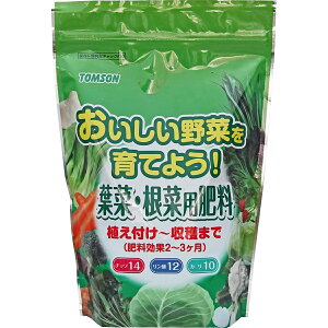 엿 ؂Ă悤! t؁Eؗp엿 N14-P12-K10 500g g\ yf14 _12 J10z 엿2`3 R[eBO엿