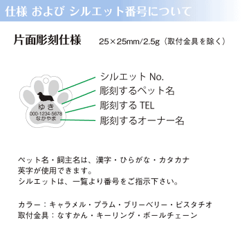 送料無料