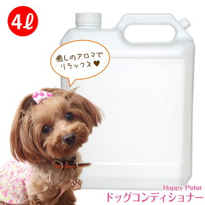  RfBVi[ s nbs[s[^[ tg₷ Ɩp 4bg yƖpz̖ѕ݂ уc^鐬Lx   NI Y{ AGt