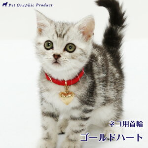 L  Z[teB[ obN S  n[g 킢 s S[hn[gtL Z[teB[obN Vv Lp `[J[ STCY MTCY n[g  `[ bh lCr