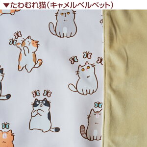 L nbN H~py{AExxbgdlzH ~ Iׂ9 lR tFbg  LCXg `FbN a Aj} 킢 ω׏d 15kg L nbN Lp v 傫