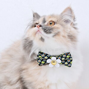 L s gJ[ t y[֑݁z{ Z[teB[obN lR g   킢  `[t L Lp STCY MTCY  `[ zC