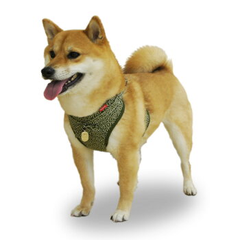 楽天市場 犬 ハーネス 唐草模様 千万両 チャーム付き ハーネス 単品 1号サイズ 2号サイズ 小型犬 小型犬用 犬 ハーネス ペットグラフィックプロダクト