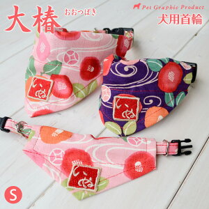    STCY Pi a a o_i ^ ^p