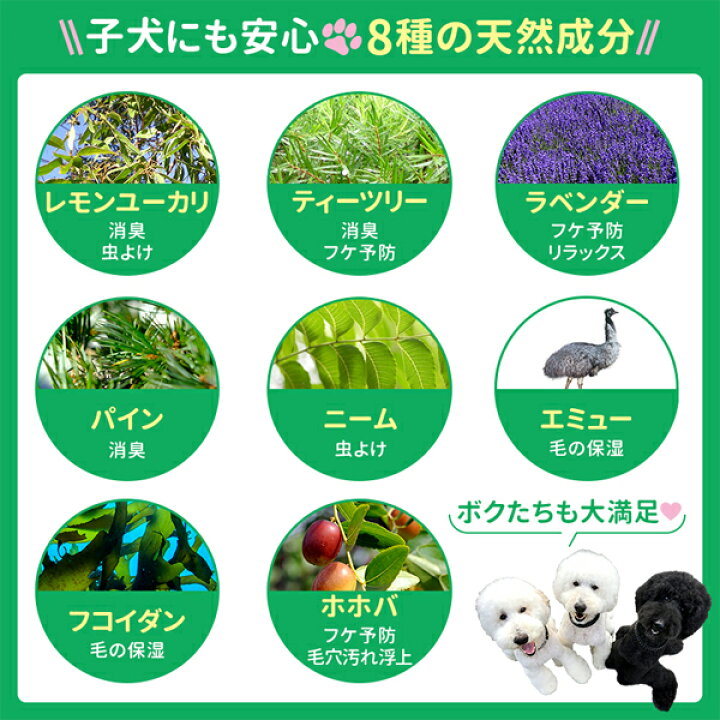 超格安一点 ハッピーピーター オーガニック ホホバオイル ティーツリー シャンプー 子犬から使えてプロのトリマーさんも愛用中 2l Virtualdgp Ugeldac Edu Pe
